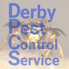 Get the inside scoop on jobs, salaries, top office locations, and ceo insights. Derby Pest Control Service Home Facebook