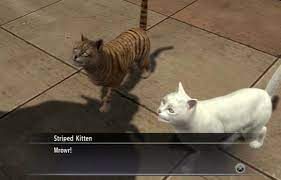 Always Carry Extra Cat Food With You Yakuza 6