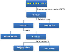 Image result for Uvaria angolensis