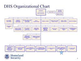 59 Symbolic Fema Org Chart