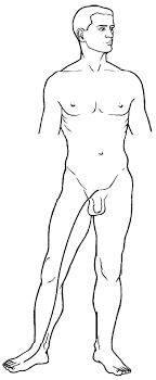 liver divergent channel meridian acupuncture acupuncture points acupuncture