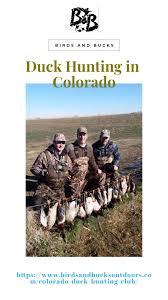 Duck Hunting In Colorado Birds And Buck Outdoors Is Your Ultimate Source For Guided Duck Hunting In Colorado Getting Ducks Th Duck Hunting Hunt Club Hunting