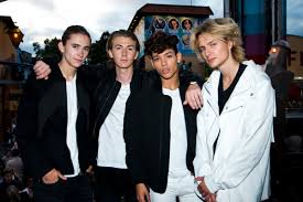 Изучайте релизы felix sandman на discogs. Felix Sandman Singer 1998 Biography Facts Career Wiki Life