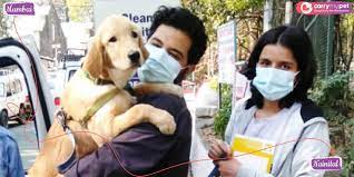 With a dedicated pet transport service from our end, we ensure that your pet faces no inconvenience when it travels, in addition to boarding and quarantine accommodation. S42ajjtmecxh6m