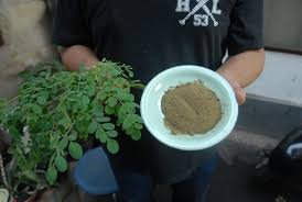 Dilansir dari lifealth, daun kari membantu menjaga kulit bersinar, lembut, dan sehat. Daun Kalor Bisa Hilangkan Flek Hitam Di Wajah Begini Caranya