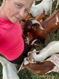 Fence Jumping Pig, Wandering Cattle, Confused Hens & Angel Goats — Laughing  Buddha Nursery