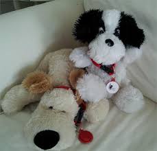 Stuffed Dog With A Red Collar From Island Dog Rescue Red Collar Project Save Animals Rescue Dogs Animals