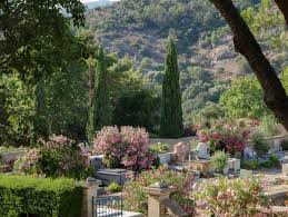 Og einbauküche mit balkon hell, südseite gute lage in der bergstr. Wann Sind Saulenzypressen Winterhart Standort Pflege Und Gestaltung