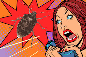 Pest-Proofing Your Home for the Winter (2025)