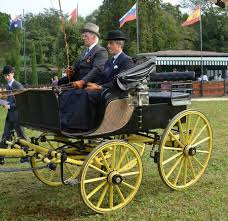 Carriages for a Lady in the Regency ...