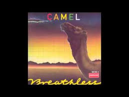 So let it be let the breeze carry you to the sea let the wind take you where it will go. Artists Camel A Boy S Life Lyrics