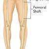 The two bones beneath your knee that make up your shin are your tibia and fibula. 1