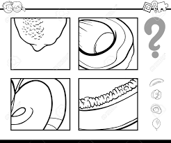 Aquí puedes encontrar todas las soluciones, respuestas y trucos de los juegos adivina. Ilustracion De Dibujos Animados En Blanco Y Negro De Actividad Educativa Tarea De Adivinar Frutas Para Ninos En Pagina Para Colorear Ilustraciones Vectoriales Clip Art Vectorizado Libre De Derechos Image 68350049