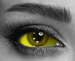 Image result for Sclera