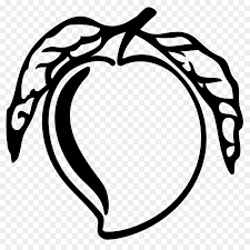 Koleksi 18+ gambar buah jeruk hitam putih untuk diwarnai. Mangga Hitam Dan Putih Gambar Gambar Png