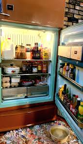 Image result for Dark Coppertone 1972 Philco