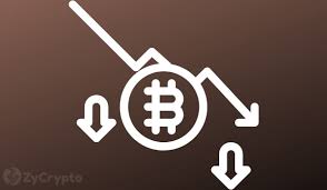 The consistency of crypto arbitrage opportunities, whatever direction bitcoin is moving, has made the arbismart platform attractive to investors, who want to hedge against a market crash. Should You Buy The Bitcoin Dip Analysts Weigh In On Bear Market Zycrypto