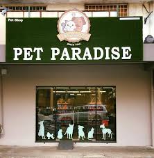 Learn to work remotely from kota kinabalu. It S Weekend Pet Paradise Kota Kinabalu Facebook