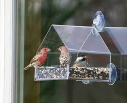 You can make bird feeders to attract a variety of birds to your backyard. Duncraft Com Duncraft 757 Window Chalet Bird Feeder