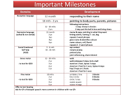 Developmental Milestones In Children For Undergraduates