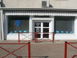 Clinique Veterinaire Dr Husson Lapalisse