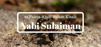 Di dalam riwayat itu disebutkan, suatu hari nabi sulaiman keluar dari istananya untuk berdoa meminta hujan. 10 Cerita Ajaib Dalam Kisah Nabi Sulaiman Kekuatan Dan Mukjizatnya