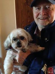 Lost dog found in Union County