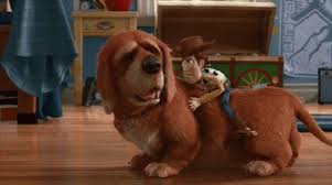Dogs skateboarding, surfing, dancing and doing dog things. Woody Toy Story Gif Woody Toystory Dog Gifs Woody Toy Story Pixar Characters Toy Story Characters