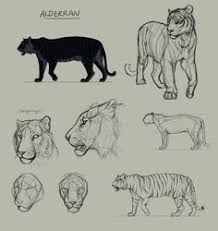 You can do a lot of different timed practices, just like hands, poses, animals, feet or landscapes. 900 Animal Reference Ideas Animal Drawings Drawings Animal Sketches