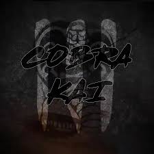 Durante la segunda temporada de cobra kai las tensiones entre los estudiantes de ambos dojos provocaron una guerra total que tiene consecuencias devastadoras. Cobra Kai Season 3 Poster In 2020 Karate Kid Cobra Kai Karate Kid Cobra Kai Dojo