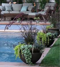 Mixed Container Container Garden Design Pool Landscaping Plants
