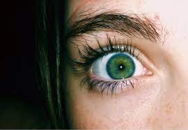 Green Eyes Art Bright Eyelashes Long Cool Lashes Green Freckles Tumblr Eyes Eye Makeup Makeup