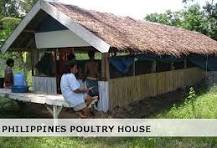 Filipino Poultry House Design