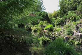 Mit seinen 600.000 m² gehört der parco sigurtà wohl zu den außergewöhnlichsten italienischen landschaftsgärten. Der Andre Heller Garten In Gardone Riviera Ein Garten Als Kunstwek Gartenratgeber