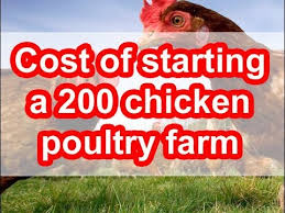 All tips, techniques & strategies here apply to poultry farming in 2020. How Much Does It Cost To Start A Poultry Farm How To Start A Poultry Farm For 200 Kienyeji Chicken Youtube