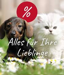 Dann nutzen sie die oben stehenden kontaktmöglichkeiten. Dehner Ihr Online Shop Fur Garten Pflanzen Balkon Tiere Dehner