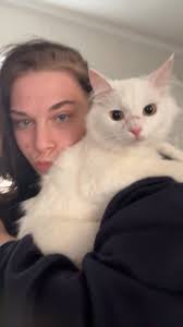 Caught the cat, it's not her 💔😿. Back to square one.