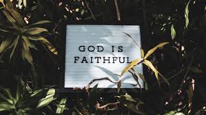 I can do everything through christ who gives me strength. Bible Verse Pictures Download Free Images On Unsplash