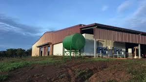 This was 29.7% of the population that were born overseas. Butuh Kerja Keras Untuk Bisa Tinggal Lebih Lama Di Australia