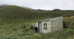 Auckland island, adams island, enderby island, disappointment island, ewing island, dundas auckland islands — ▪ islands, new zealand outlying island group of new zealand, in the south. New Zealand S Castaway Depots For Shipwrecked Sailors Amusing Planet