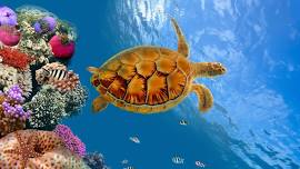 Under the Sea