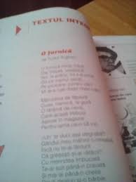 O furnica o furnica mica, mica, dar infipta, va sa zica. O Furnica Mica Mica Dar Infipta Vasazica Ce Sens Are Cuvantul Infipta Brainly Ro