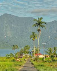  Tempat Ini Merupakan Salah Satu Bagian Di Kawasan Nagari Sungai Batang Perlu Diketahui Bahwa Nagari Sungai Ba Pemandangan Ilustrasi Alam Fotografi Pemandangan
