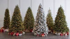 We did not find results for: Dispose Of Your Christmas Tree