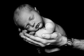 Yellow Blossom Photography...