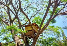 Check spelling or type a new query. Cerpen Burung Merpati Dan Segenggam Jagung Halaman 2 Kompasiana Com