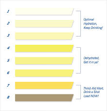 9 Sample Urine Color Charts Pdf