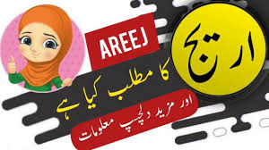 Areej Name Meaning In Urdu And Lucky Number Islamic Girl Name Ali Bhai In 2020 Arabic Baby Girl Names Names With Meaning Muslim Boy Names