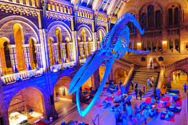 Le muséum d'histoire naturelle renferme dans ses murs un secret mystérieux et stupéfiant que larry, nouveau gardien de sécurité, ne va pas tarder à découvrir avec affolement : Une Nuit Au Musee D Histoire Naturelle De Londres Bons Plans Londres