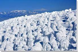 retrip リトリップ 旅行キュレーションメディア 絶景 日本 宮城